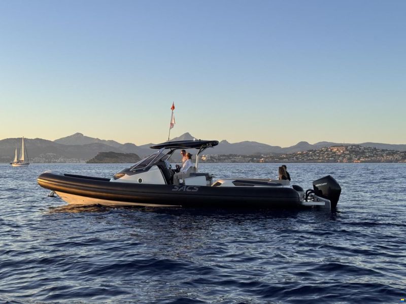 SACS Strider 11
