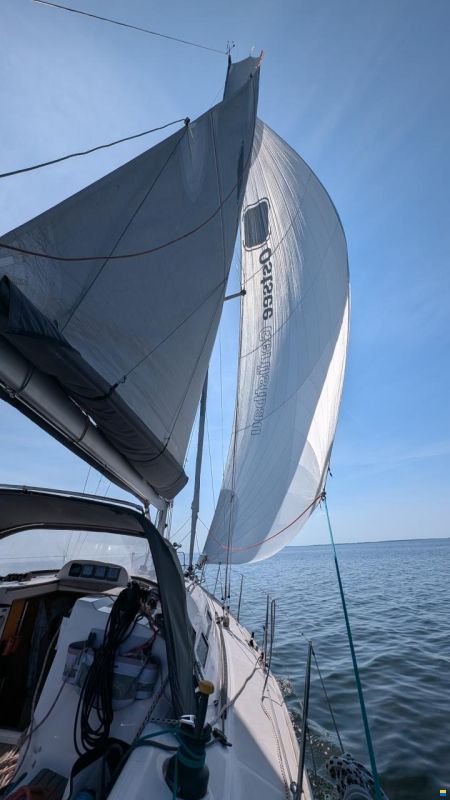 Elan 37