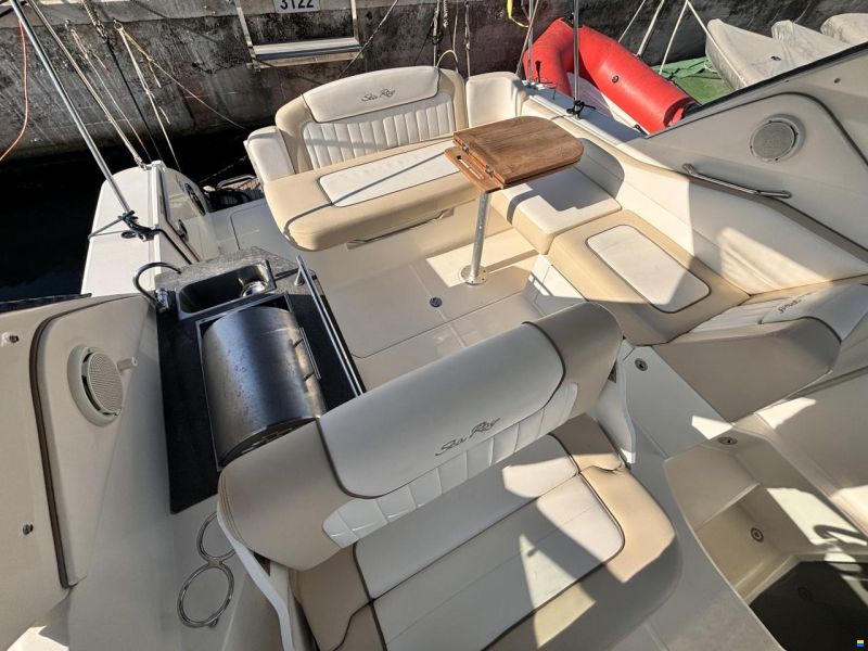 Sea Ray Sundancer 310