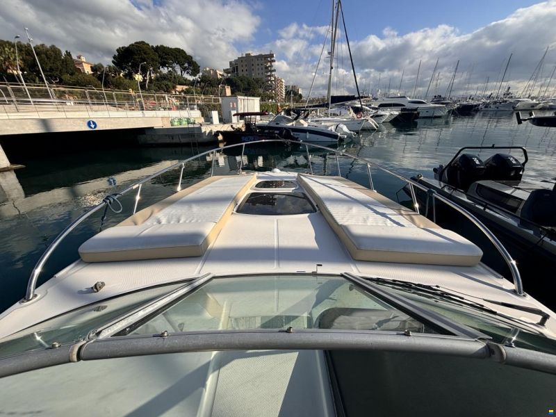 Sea Ray Sundancer 310