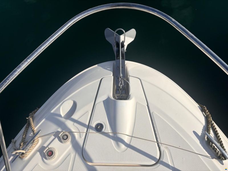 Sea Ray Sundancer 310