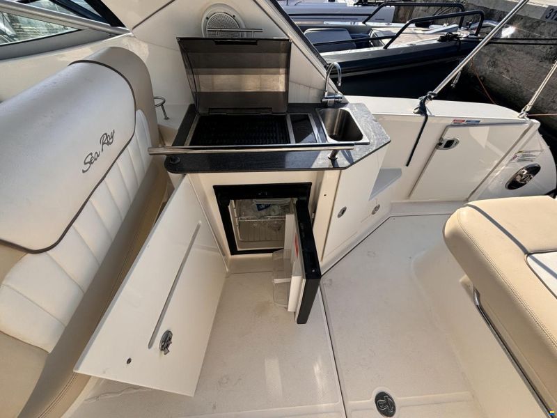 Sea Ray Sundancer 310