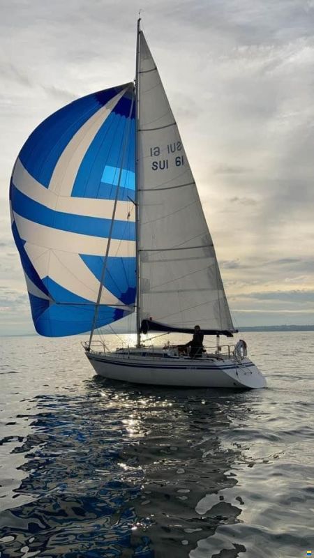 Artekno Siesta 32