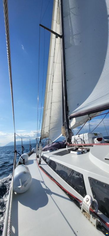 Dufour-Harmonie 36