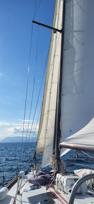 Dufour-Harmonie 36
