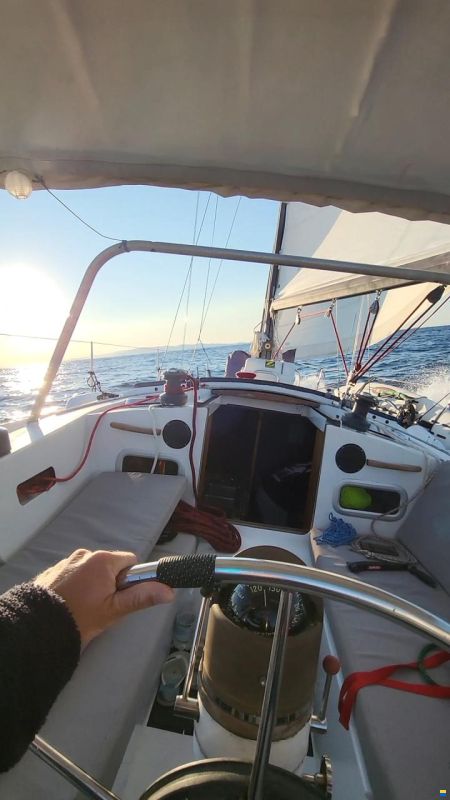Dufour-Harmonie 36