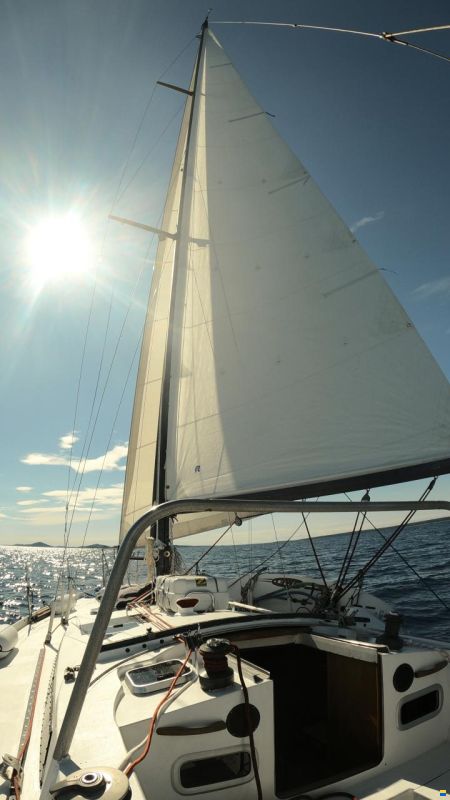 Dufour-Harmonie 36