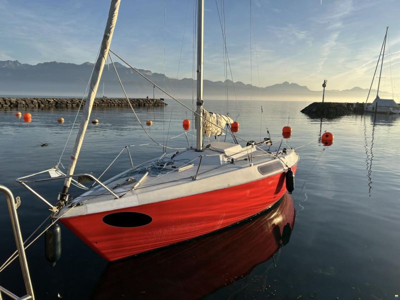 kelt 620