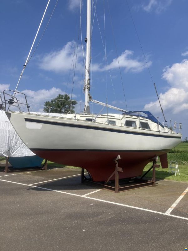 Fellowship 28