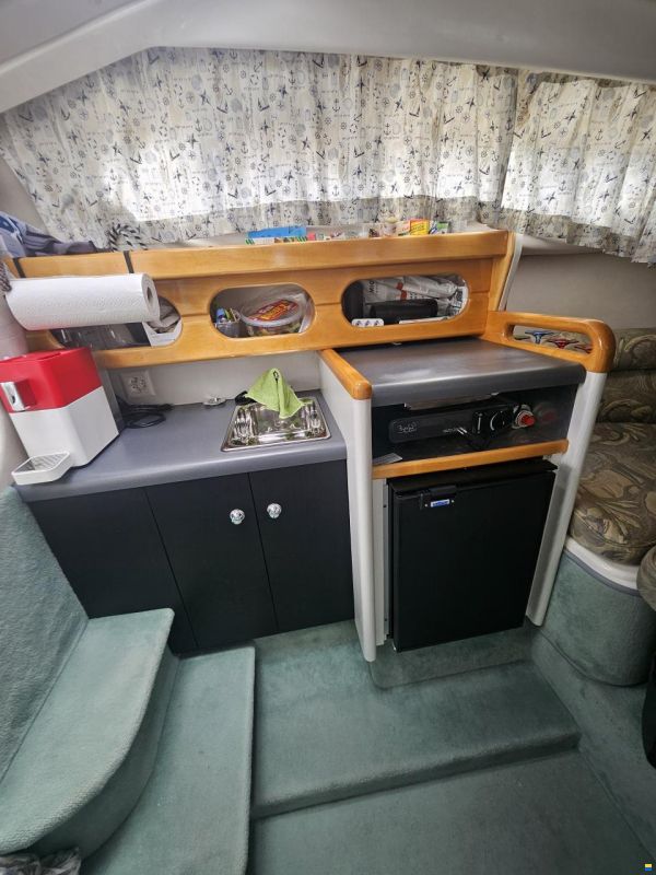 Sealine 24 Senator