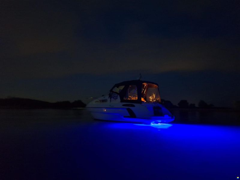 SEALINE 24 SENATOR