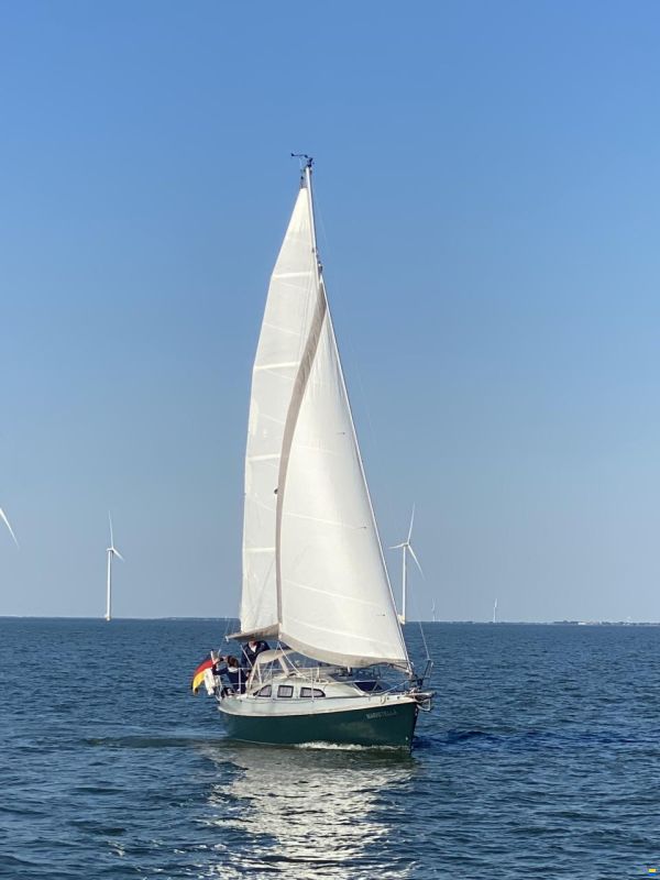 Bora 838 BS