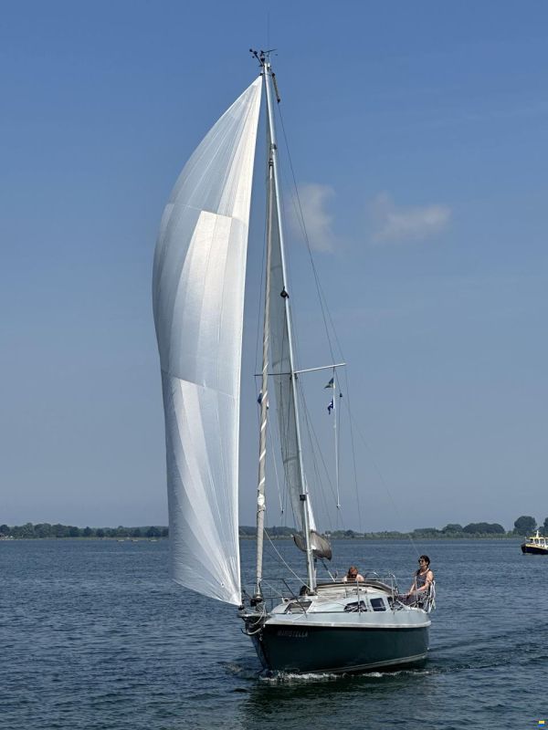 Bora 838 BS