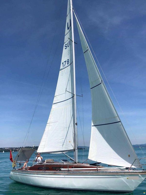 Wirz-Luffe 37