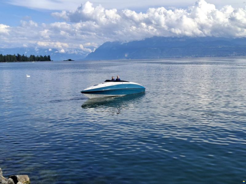 Crownline 266 CCR LTD