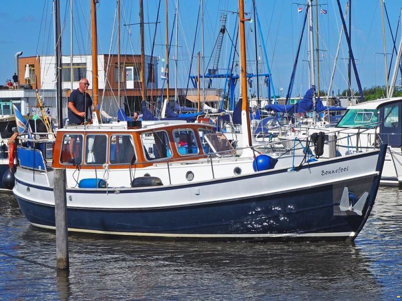 Danish Rose 32