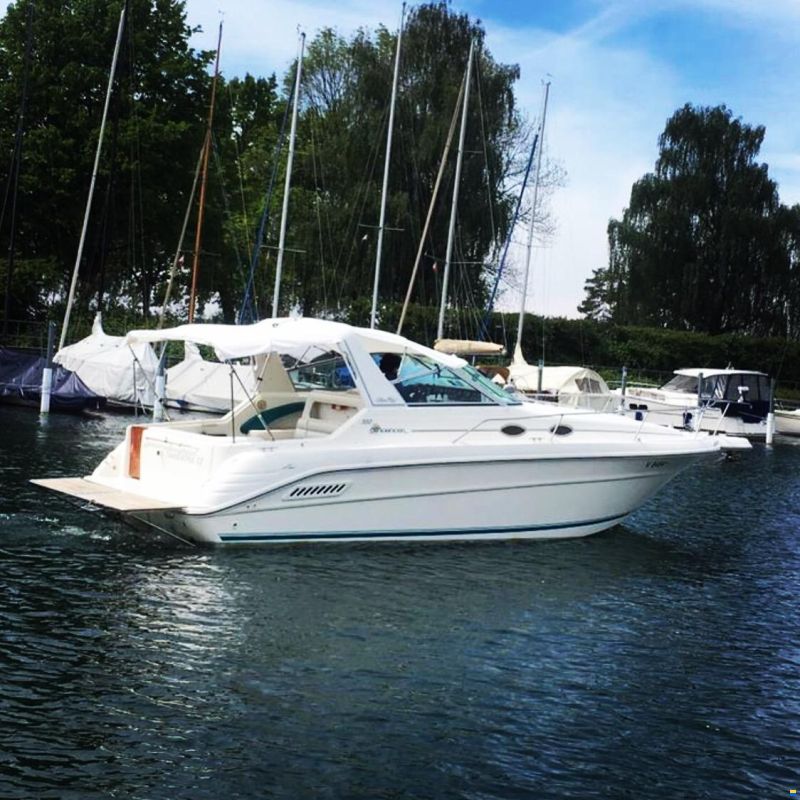 Sea Ray Sundancer 300