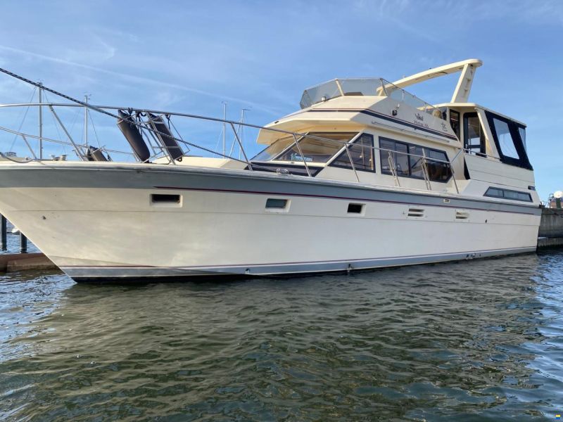 HI-Star 48 Fly