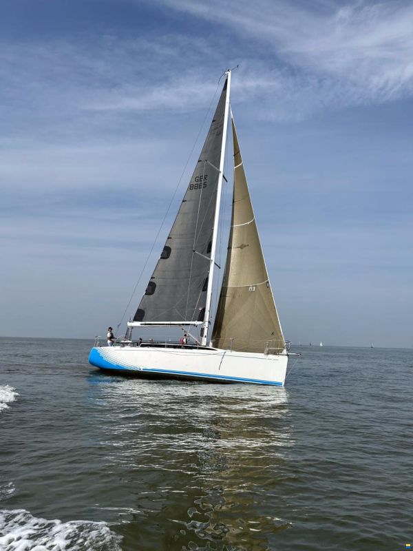 Sinergia 40