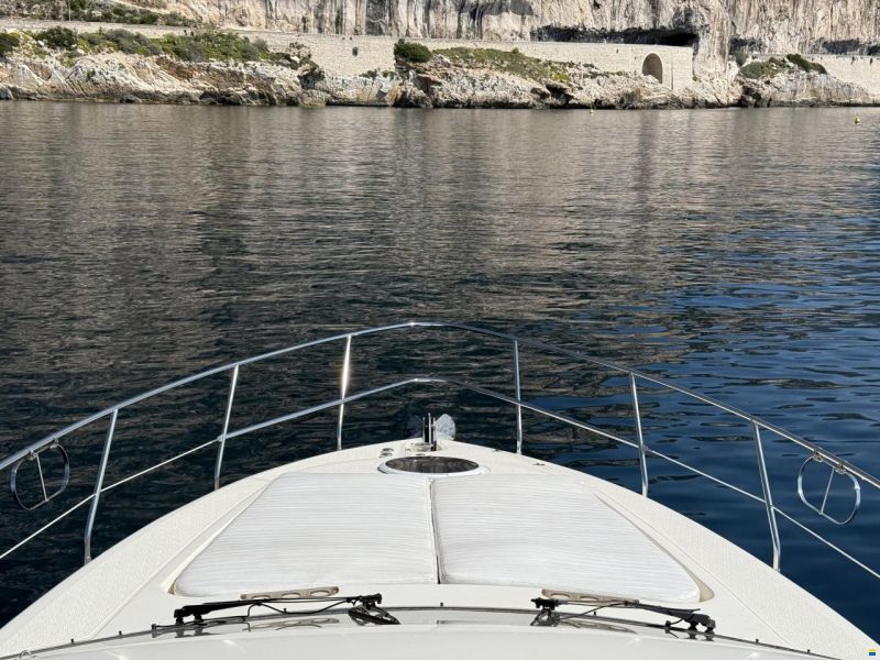 Astondoa 46