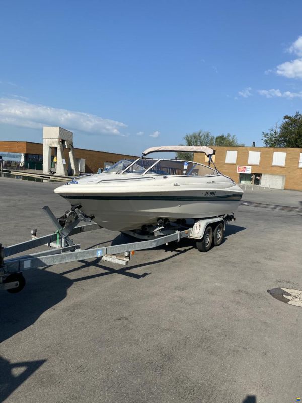 Campion Allante Serie