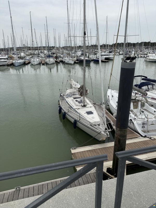 Finngulf 391