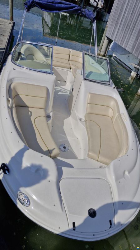 Sea Ray 190 SD