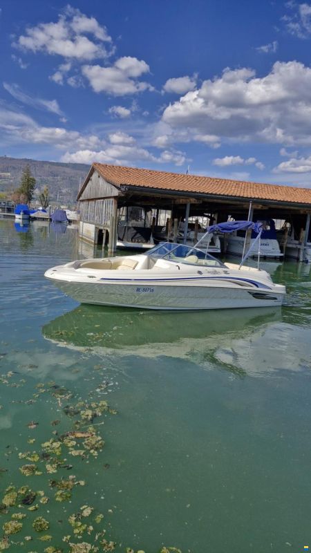 Sea Ray 190 SD