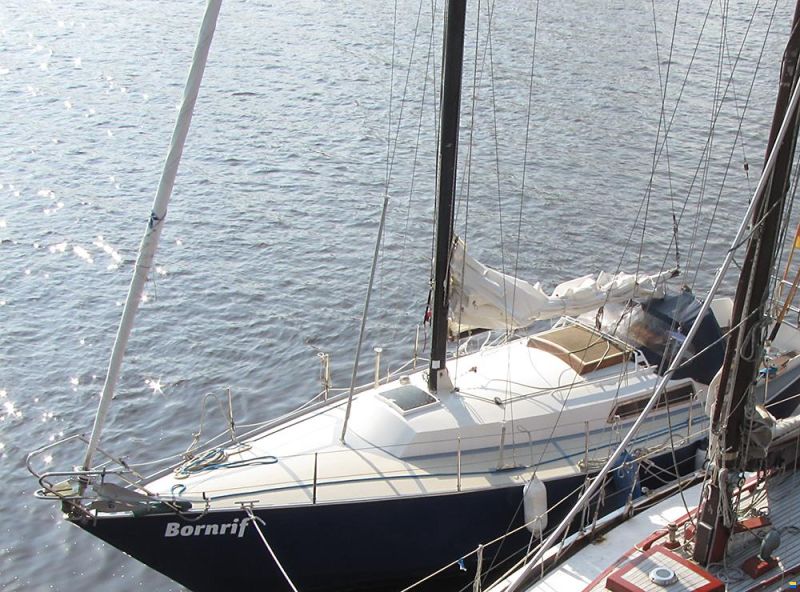 Wibo van Wijk 945
