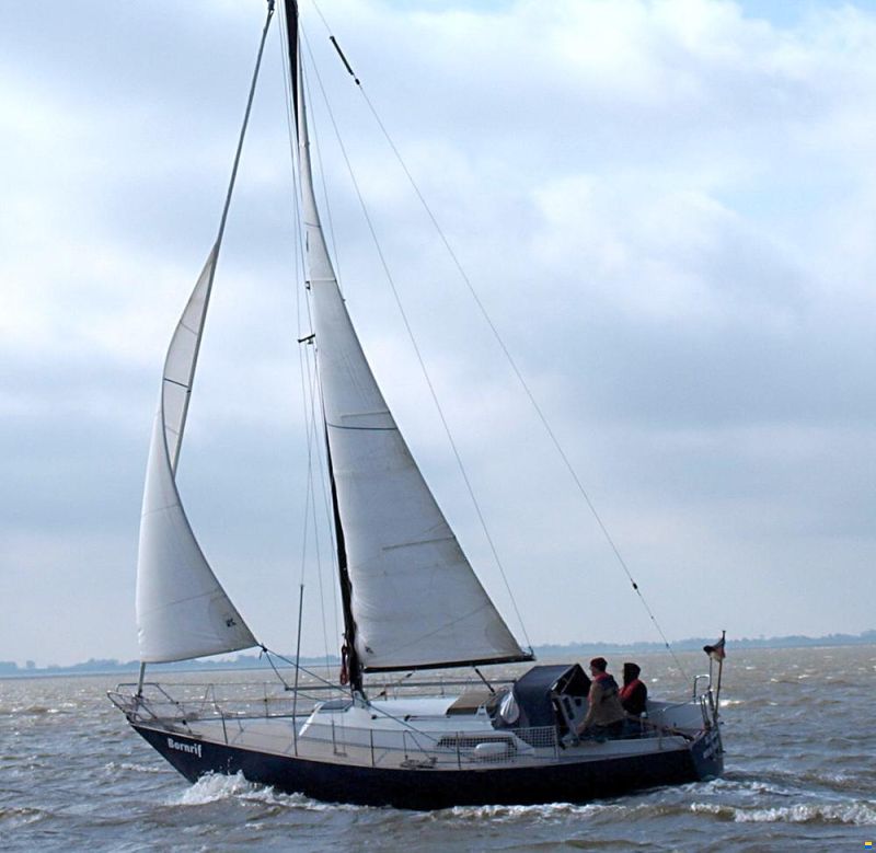 Wibo van Wijk 945