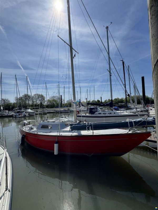 Mallard Ecume de Mer
