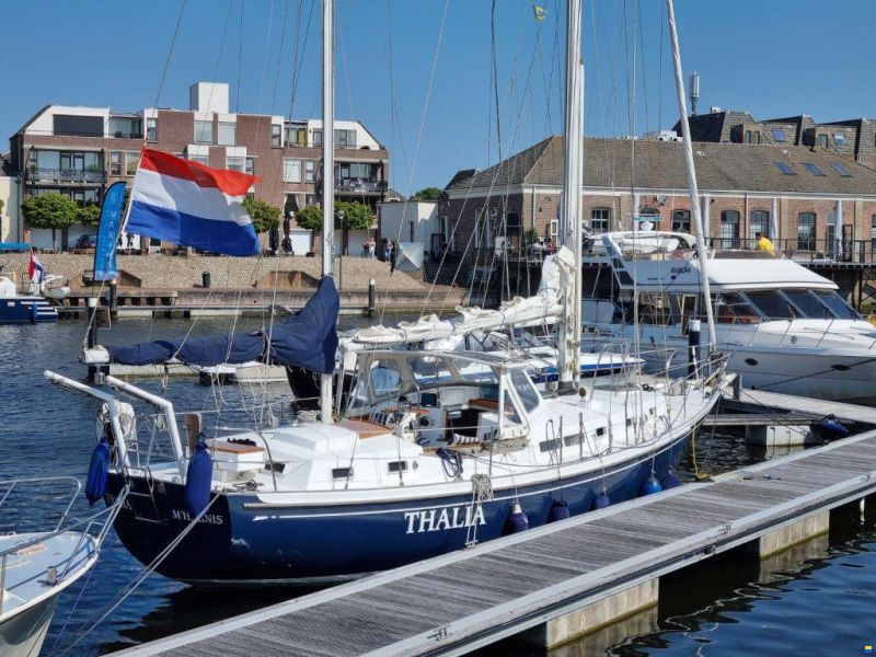 Whitby 42