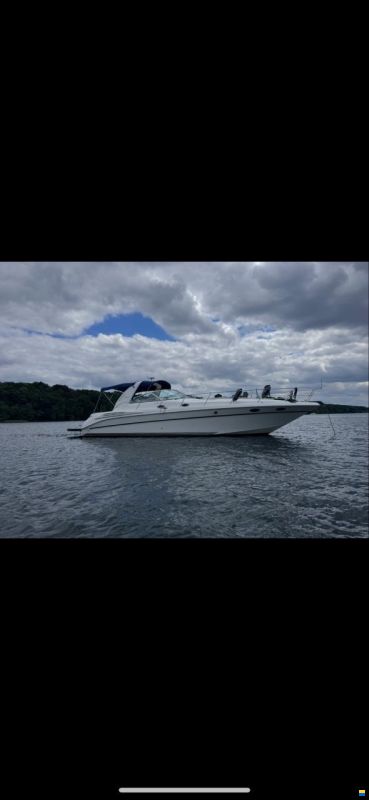 Sea Ray 400