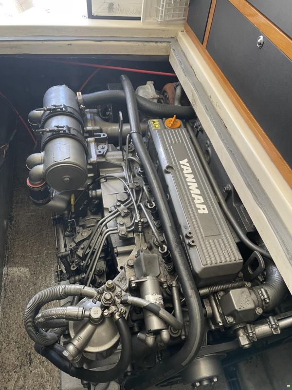 Rodman 970 Sport