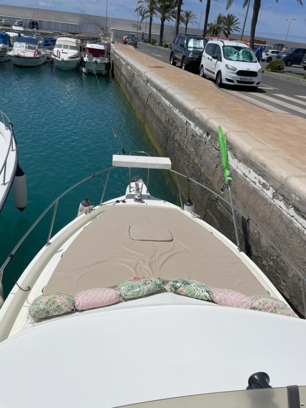 Rodman 970 Sport