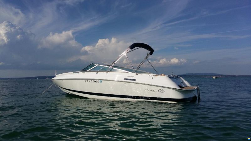 Cobalt 233
