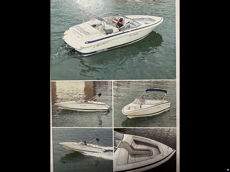 Cobalt 206