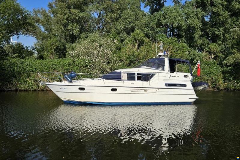 Broom 41