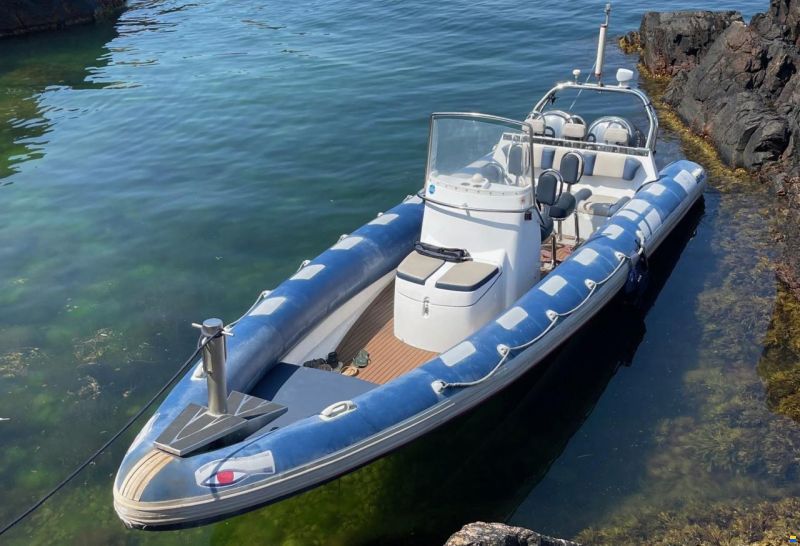 Ribeye RCL 890