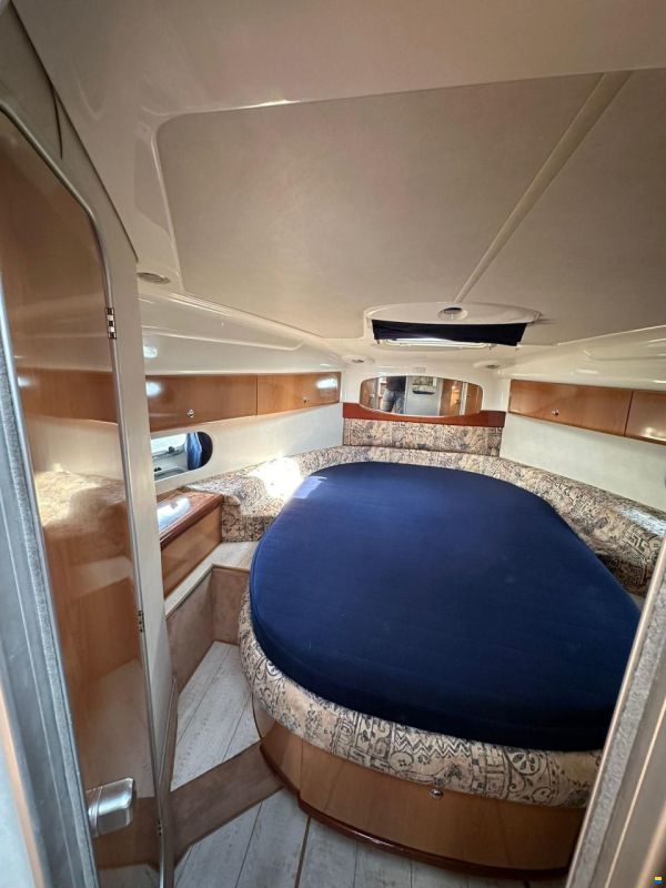 Sealine S37