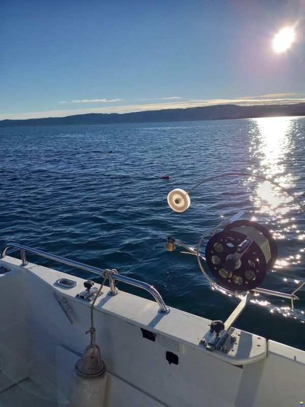 Jeanneau Merry Fisher 755 mrl