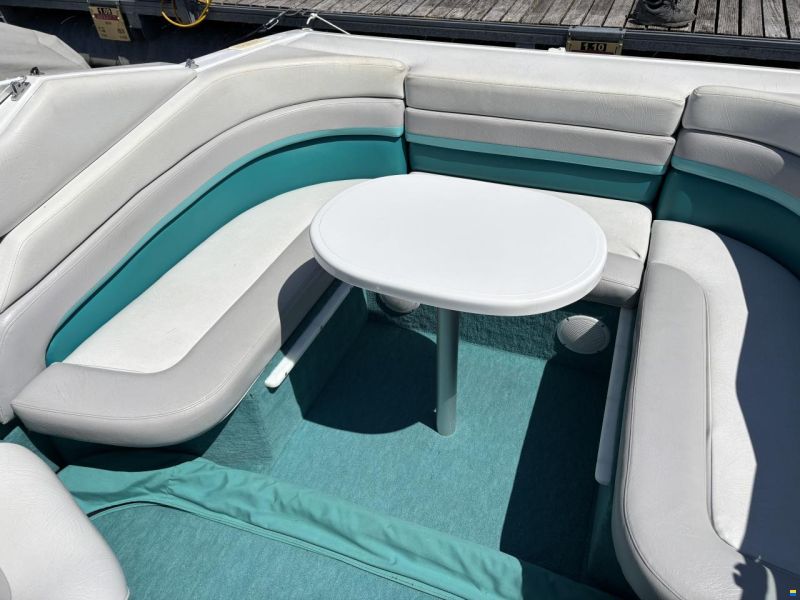 Chris Craft 238 Concept