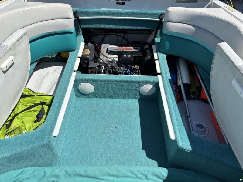 Chris Craft 238 Concept