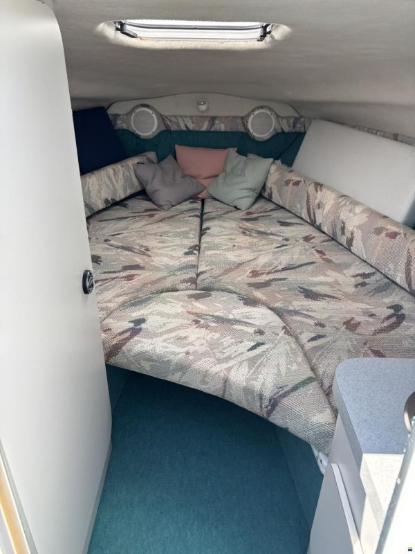 Chris Craft 238 Concept