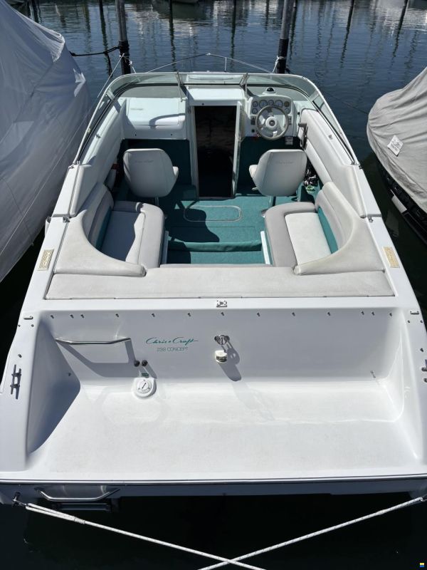 Chris Craft 238 Concept