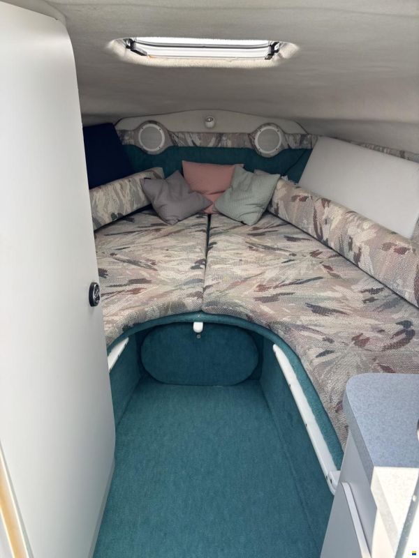 Chris Craft 238 Concept