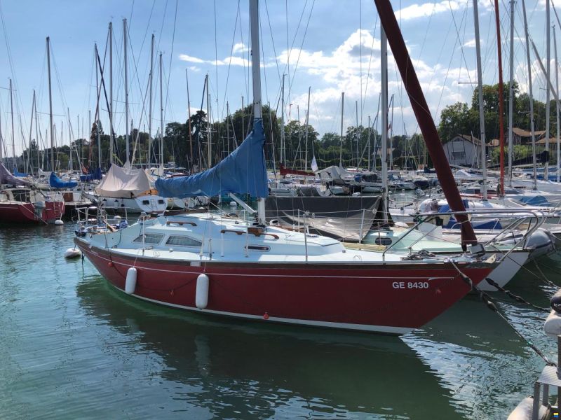 Bianca Yachts Commander 31