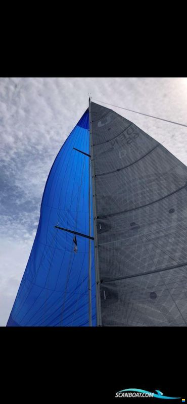 Luffe 40.04 - Schneller Cruiser-Racer!