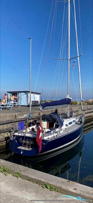 Luffe 40.04 - Schneller Cruiser-Racer!