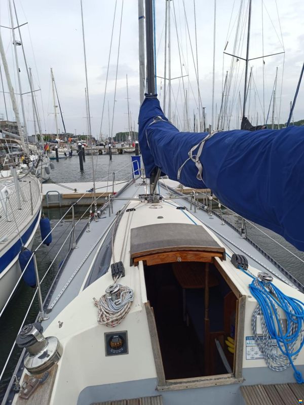 Wasa 55